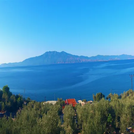 Assos Nazan Restoran 2* Sokakağzı