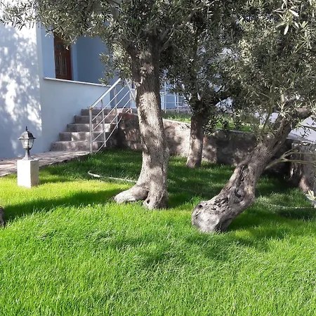 Assos Nazan Restoran Sokakagzi