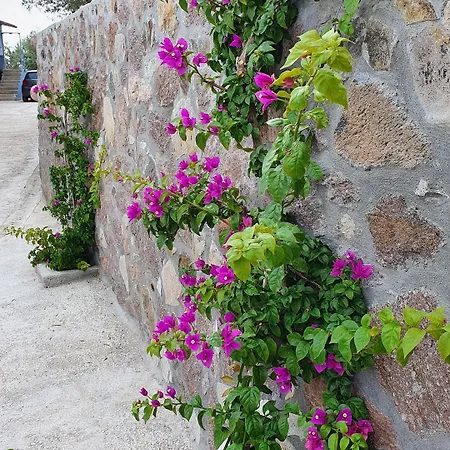 Assos Nazan Restoran
