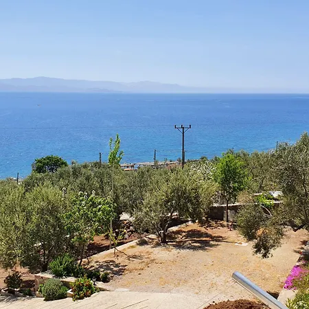 Assos Nazan Restoran