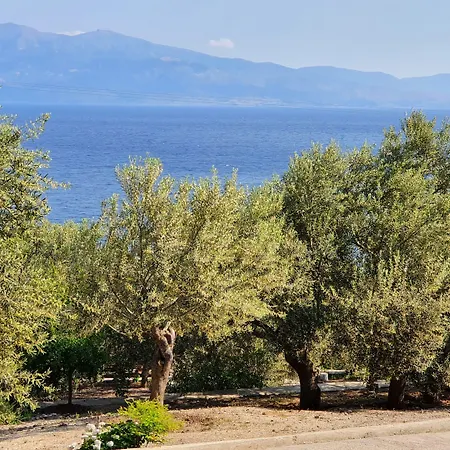 Assos Nazan Restoran 2* Sokakagzi