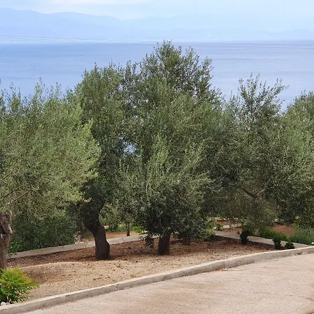 Assos Nazan Restoran Motel 2*